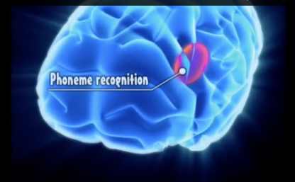 Good Visual Demonstration of Dyslexia and the Brain